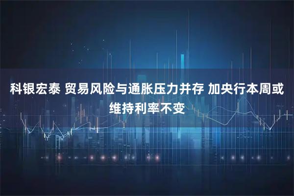 科银宏泰 贸易风险与通胀压力并存 加央行本周或维持利率不变