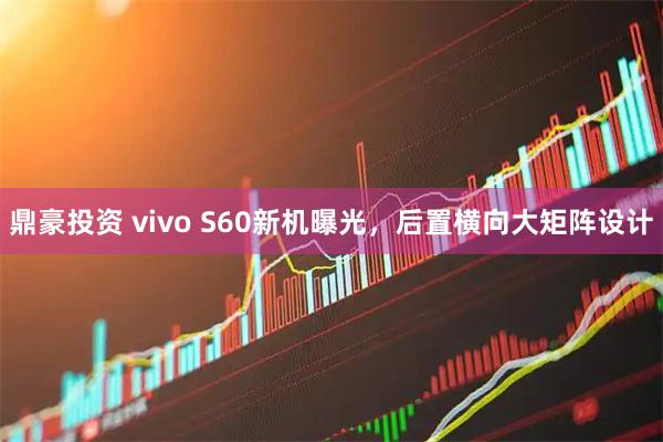 鼎豪投资 vivo S60新机曝光，后置横向大矩阵设计