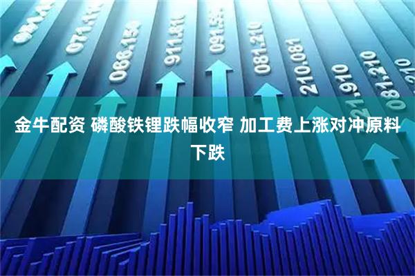 金牛配资 磷酸铁锂跌幅收窄 加工费上涨对冲原料下跌