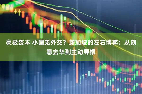 豪极资本 小国无外交？新加坡的左右博弈：从刻意去华到主动寻根