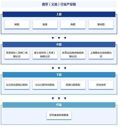 2024年中国假牙 义齿 行业市场调查 产业链全景及市场需求规模预测